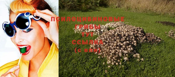 прущий лед Богданович
