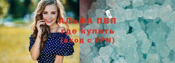 гидра Богородицк
