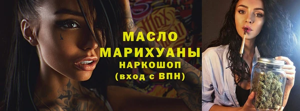 гидра Богородицк