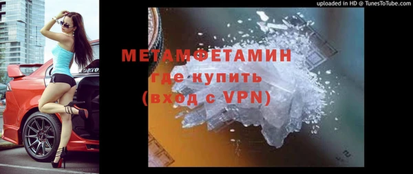 гидра Богородицк