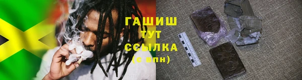 прущий лед Богданович