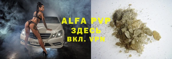 гидра Богородицк