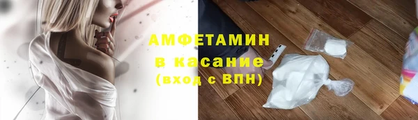 гидра Богородицк