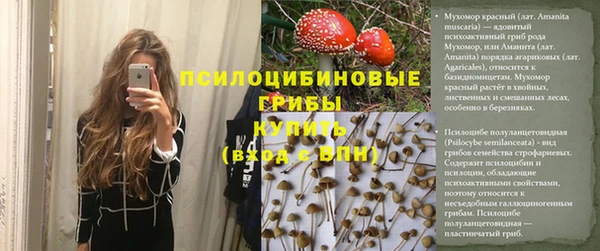jwh Бородино
