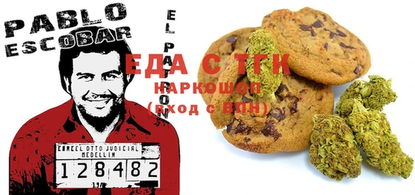 гидра Богородицк