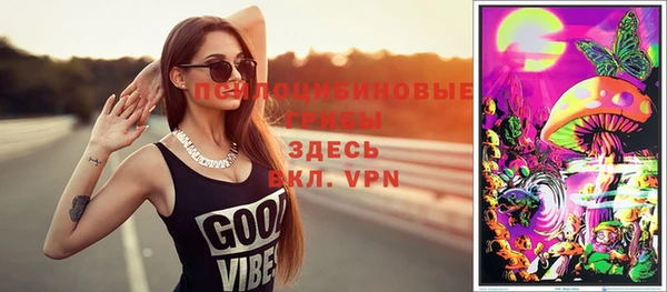 прущий лед Богданович