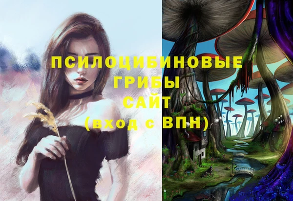 бутират Приозерск